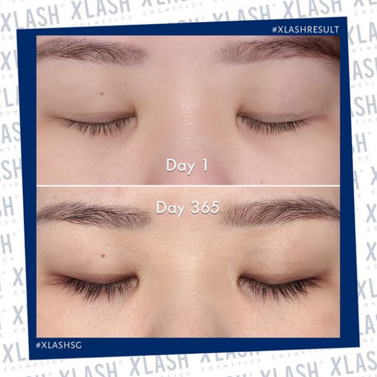 XLASH results